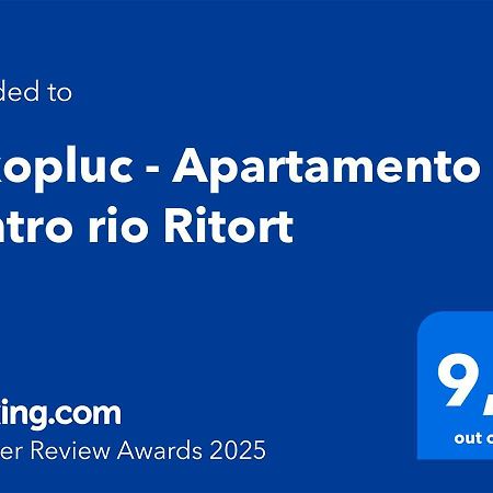 Aixopluc - Camprodon Apartamento Centro Rio Ritort エクステリア 写真
